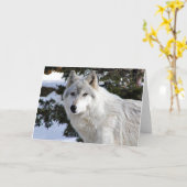 オオカミ カード (黄色い花)