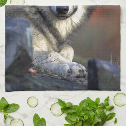 オオカミ キッチンタオル (折り畳み)