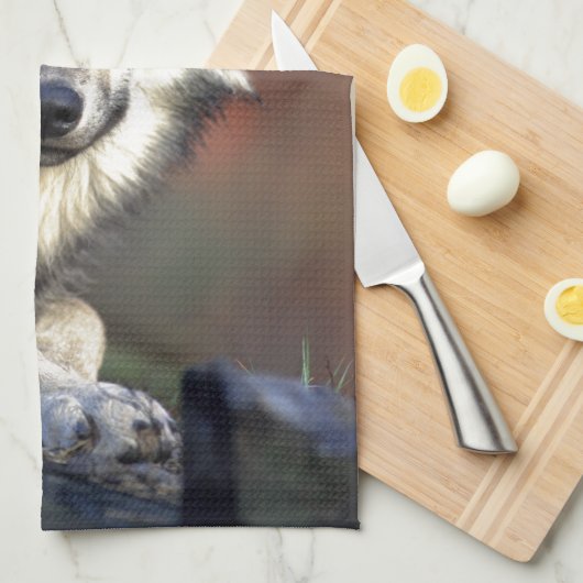 オオカミ キッチンタオル (四つ折り)