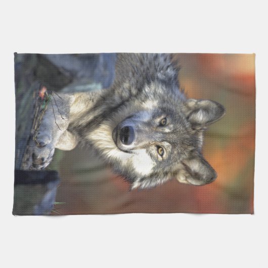 オオカミ キッチンタオル (横)