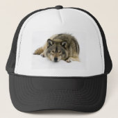 オオカミ キャップ (正面)