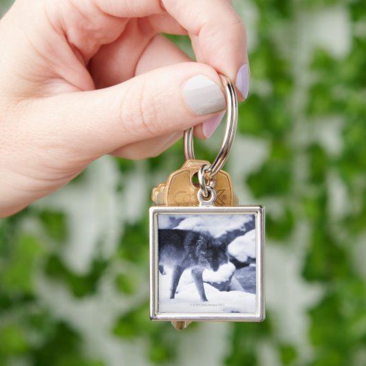 オオカミ キーホルダー (手)