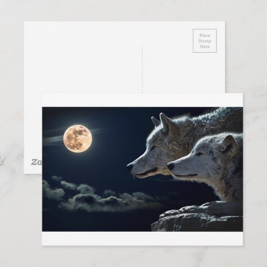 オオカミ・ギフト ポストカード (正面/裏面)