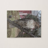 オオカミ ジグソーパズル (横)