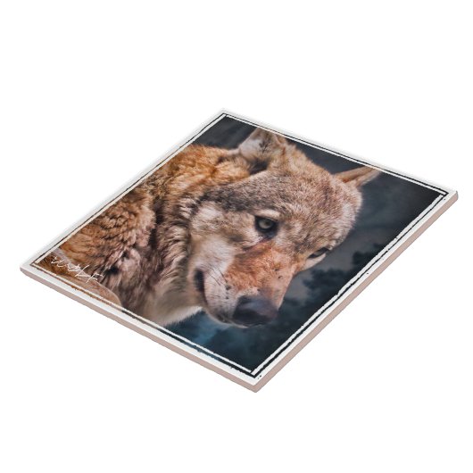 オオカミ タイル (側面)