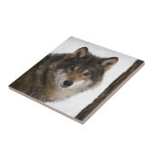 オオカミ タイル (側面)