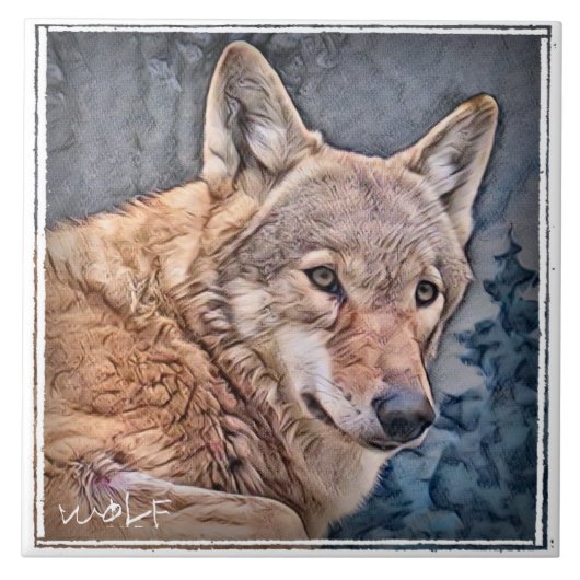 オオカミ タイル (正面)