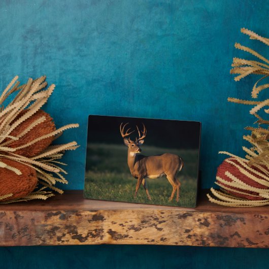 オオカミ |チョークキャニオン州パーク（テキサス州） フォトプラーク (側面)