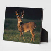 オオカミ |チョークキャニオン州パーク（テキサス州） フォトプラーク (側面)