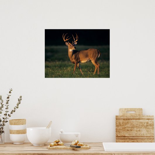 オオカミ |チョークキャニオン州パーク(テキサス州) ポスター (キッチン)