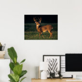 オオカミ |チョークキャニオン州パーク（テキサス州） ポスター (ホームオフィス)