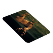 オオカミ |チョークキャニオン州パーク(テキサス州) マグネット (右側)