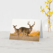 オオカミ |テキサス州の秋 カード (黄色い花)