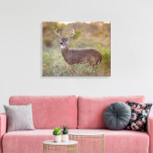 オオカミ |テキサス州の秋 キャンバスプリント (インサイチュ (リビング))