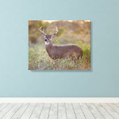 オオカミ |テキサス州の秋 キャンバスプリント (インサイチュ (ウッドフロア))