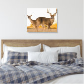 オオカミ |テキサス州の秋 キャンバスプリント (インサイチュ (寝室))