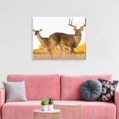 オオカミ |テキサス州の秋 キャンバスプリント (インサイチュ (リビング))