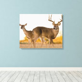 オオカミ |テキサス州の秋 キャンバスプリント (インサイチュ (ウッドフロア))