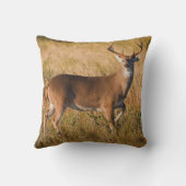 オオカミ |テキサス州の秋 クッション (裏面)