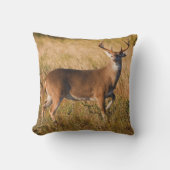 オオカミ |テキサス州の秋 クッション (正面)