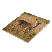 オオカミ |テキサス州の秋 タイル (側面)