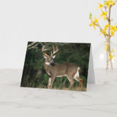 オオカミ |テネシー カード (黄色い花)