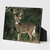 オオカミ |テネシー フォトプラーク (側面)