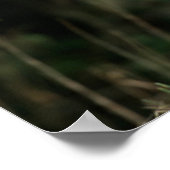 オオカミ |テネシー ポスター (角)