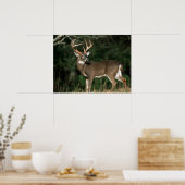 オオカミ |テネシー ポスター (キッチン)