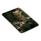 オオカミ |テネシー マグネット (右側)