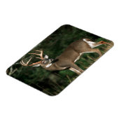 オオカミ |テネシー マグネット (左側)