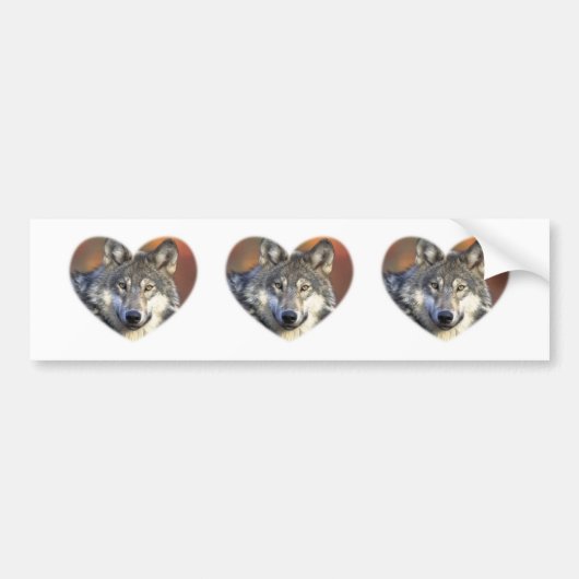 オオカミ バンパーステッカー (正面)