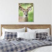 オオカミ |ヒルカントリー、テキサス州 キャンバスプリント (インサイチュ (寝室))