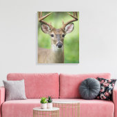 オオカミ |ヒルカントリー、テキサス州 キャンバスプリント (インサイチュ (リビング))