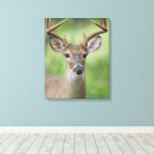 オオカミ |ヒルカントリー、テキサス州 キャンバスプリント (インサイチュ (ウッドフロア))