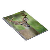 オオカミ |ヒルカントリー、テキサス州 ノートブック (右側)