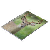 オオカミ |ヒルカントリー、テキサス州 ノートブック (左側)