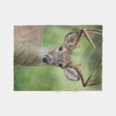 オオカミ |ヒルカントリー、テキサス州 フリースブランケット (正面(横))