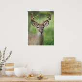 オオカミ |ヒルカントリー、テキサス州 ポスター (キッチン)