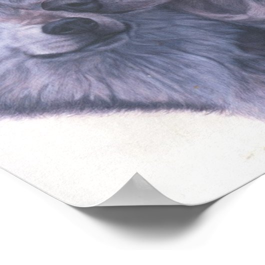 オオカミ ポスター (角)