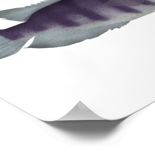 オオカミ ポスター (角)