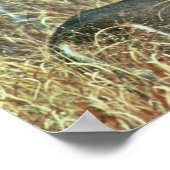 オオカミ ポスター (角)