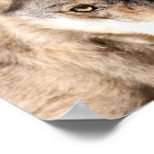 オオカミ ポスター (角)