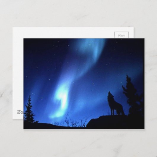 オオカミ ポストカード (正面/裏面)