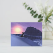 オオカミ ポストカード (スタンド正面)