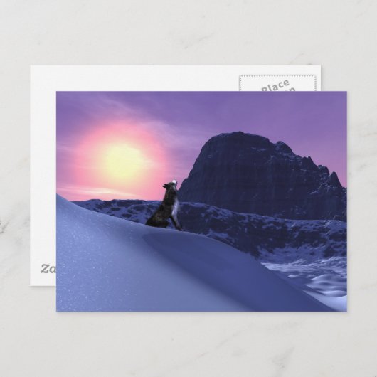 オオカミ ポストカード (正面/裏面)