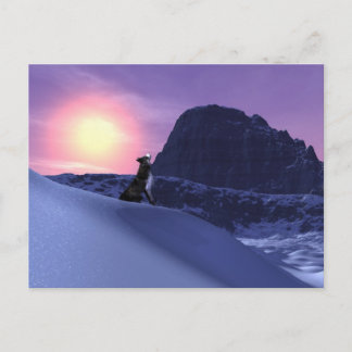 オオカミ ポストカード