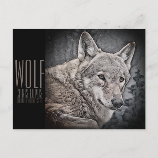 オオカミ ポストカード (正面)