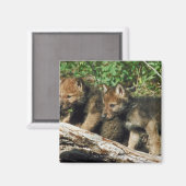 オオカミ マグネット (正面/裏面)