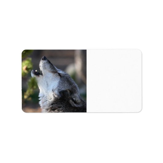 オオカミ ラベル (正面)